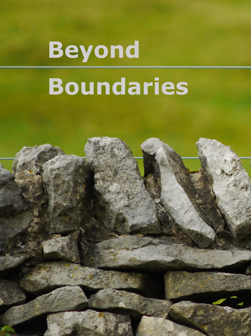 Cover image for Beyond Boundaries